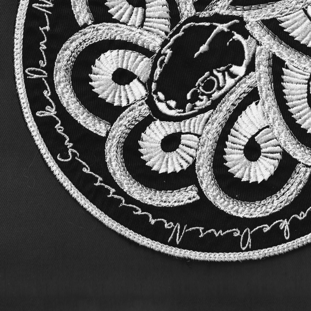 Main splash image, a detail of an embroidered patch featuring a garter snake head with its body wrapping in a spiral shape